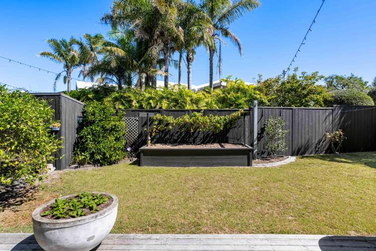 6 Vista Paku Pauanui_33