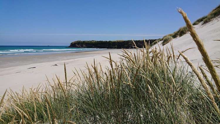 42 Oregon Street Ocean Grove_19