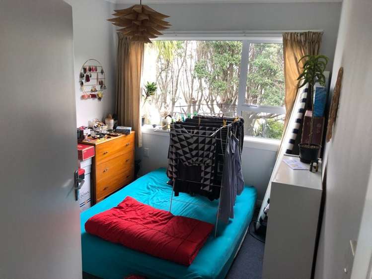 17A Marewa Road Hataitai_15