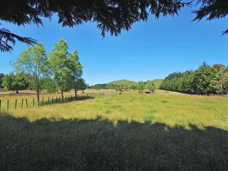 617 Norfolk Road Upper Plain_18