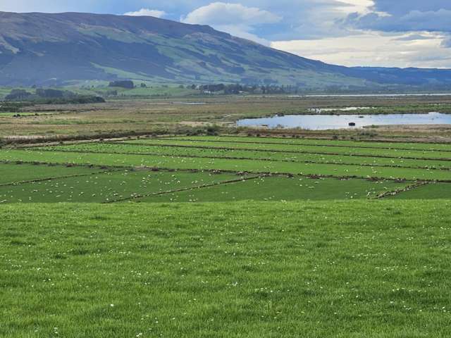 Lot 21 Baker Road, Waihola Clarendon_1