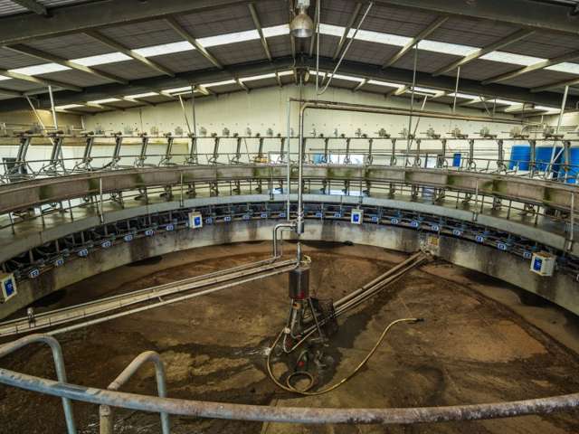 377 Emersons Road Lowcliffe_4