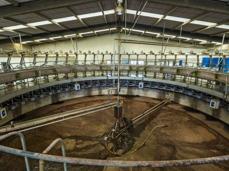 377 Emersons Road Lowcliffe_4