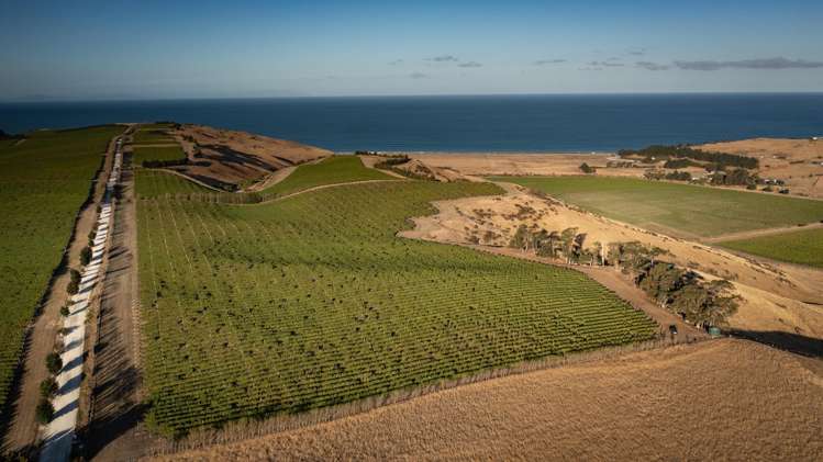 Reserve Road Seddon_14