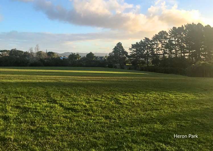 5/38 Fairlands Avenue Waterview_19