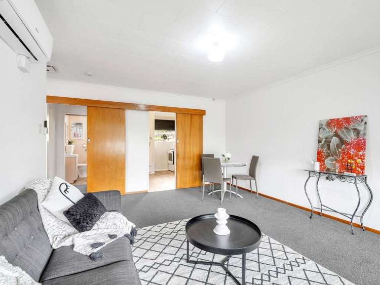3 Kiwi Court Roslyn_8