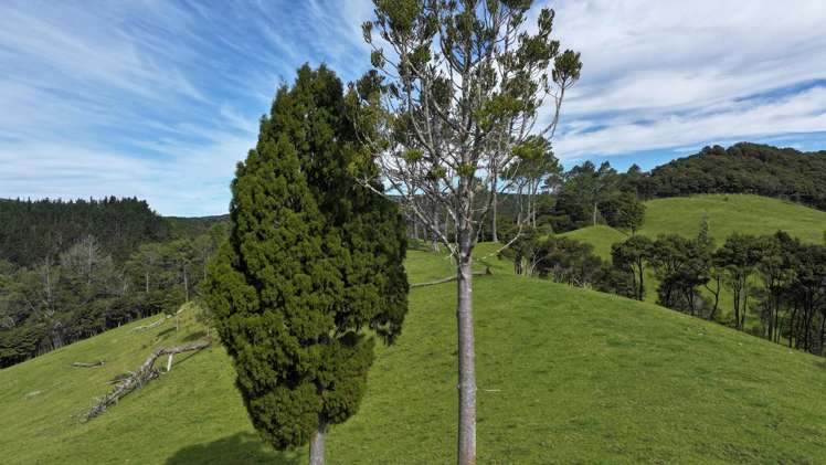 140 Kenana Road Mangonui Surrounds_12
