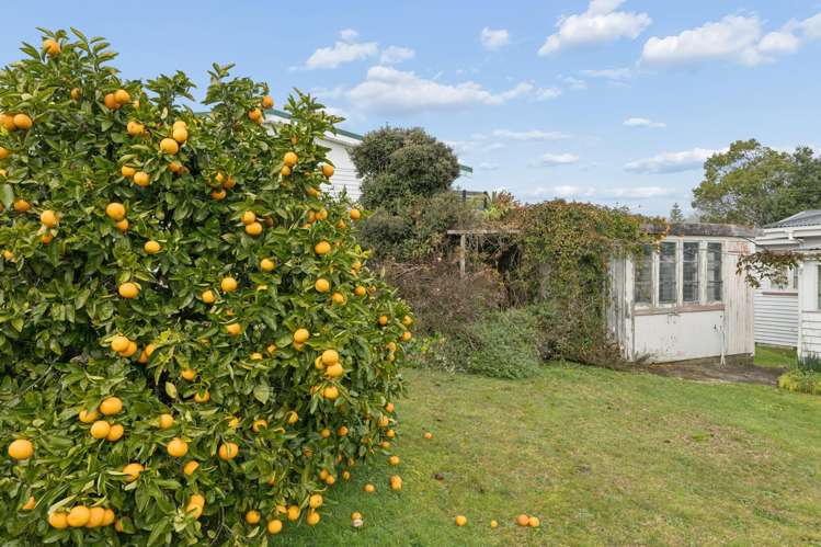 19 Eccles Avenue Te Kauwhata_26