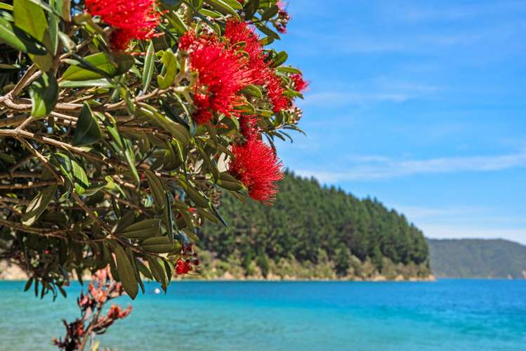 Burneys Beach Arapaoa Island_25