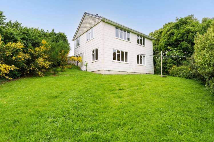 75 Hillary Street Liberton_15