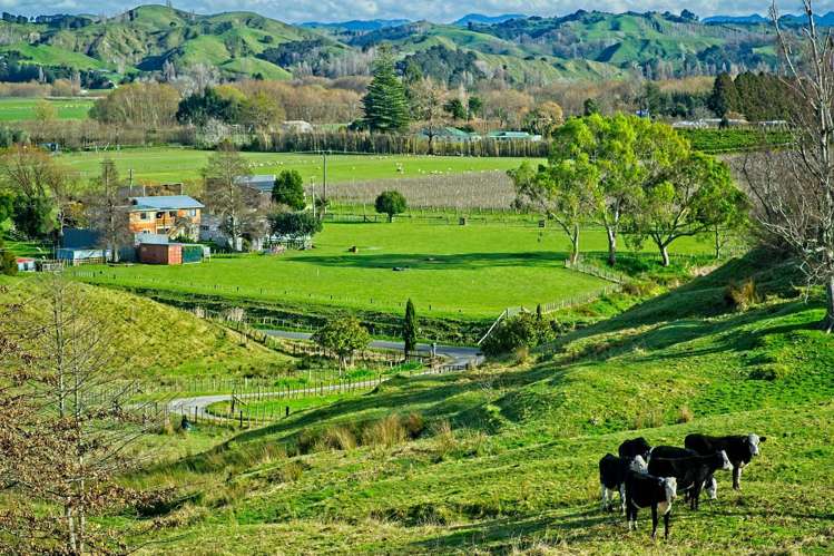 Ormond Valley Road Ormond_18