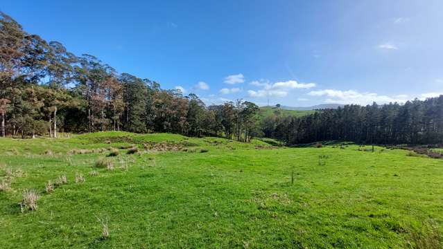 Cnr Milne and Aponga Stream Road Purua_3