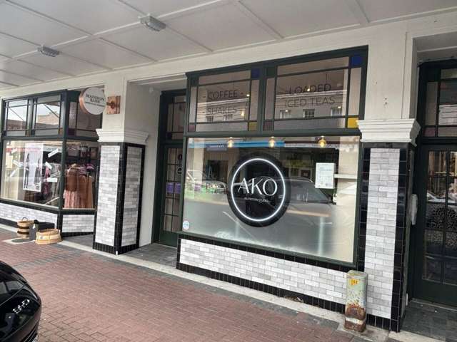 133 Jackson Street Petone_1