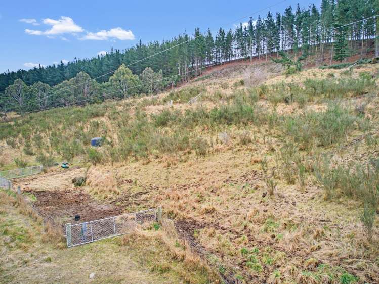 Diggers Gully Road Kurow_14