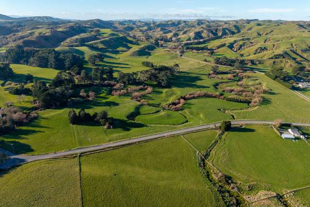 Bowen Road Eketahuna_4