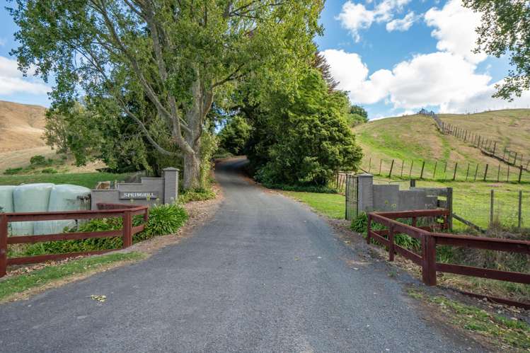 761 State Highway One Wairakei_24