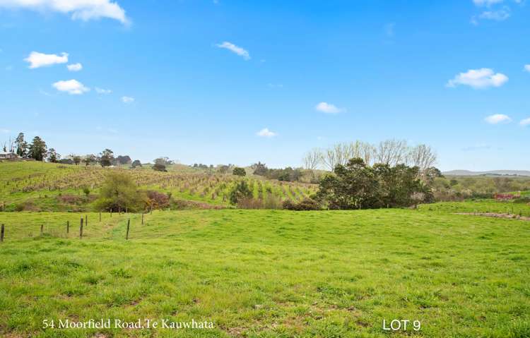 52 Moorfield Road Te Kauwhata_23