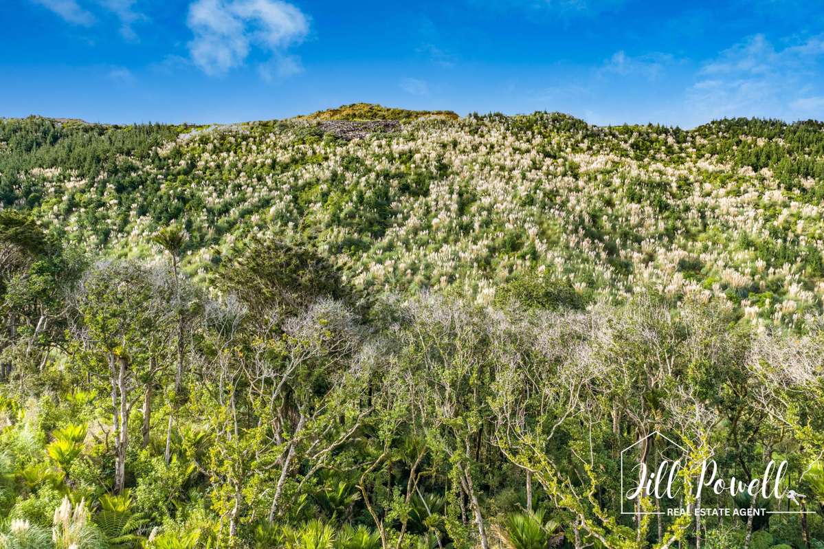Lot/13 Kamea Place_2
