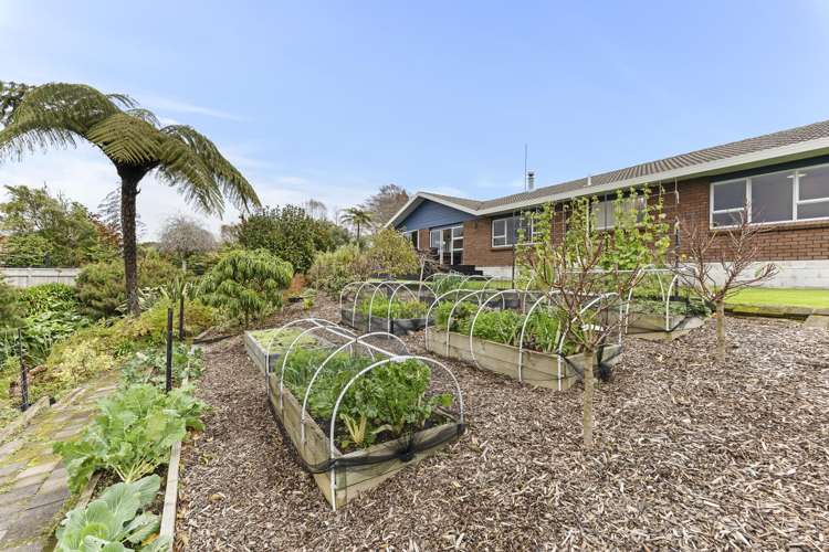 36 Maire Street Inglewood_25