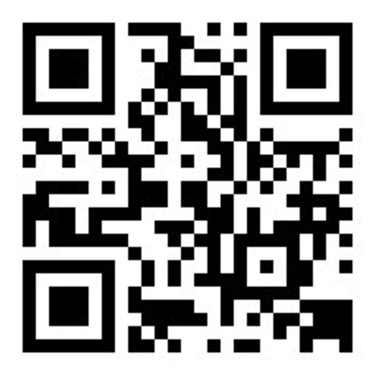 36 Boston Avenue Hornby_10