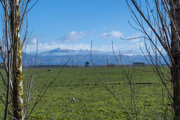 Taylor Street North Geraldine_10