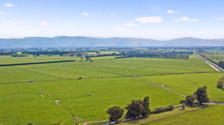 Wards Line Greytown_16