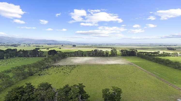 129-139 Tamatarau Road Tokomaru_24