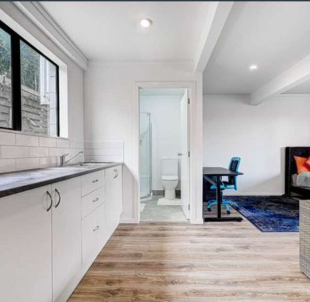 29B Ellis Avenue Mount Roskill_2