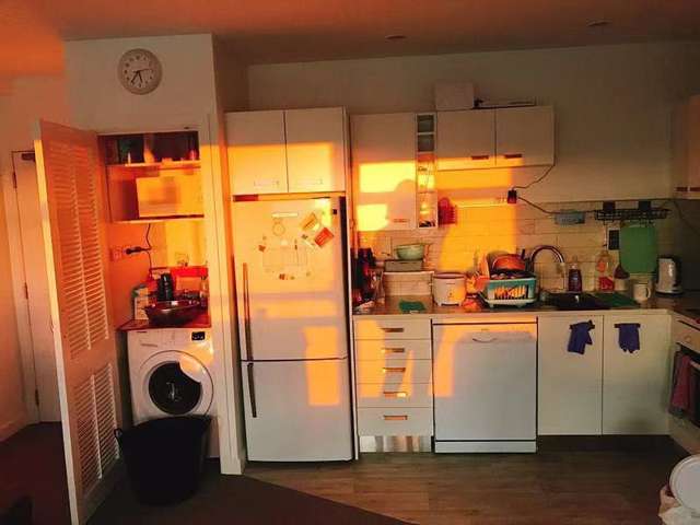 6B/125A Hobson Street Auckland Central_2