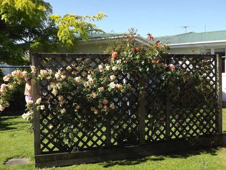 33 Fergusson Street Solway_12