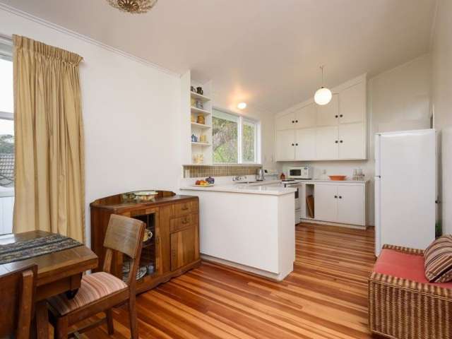 66 Collier Avenue Karori_3