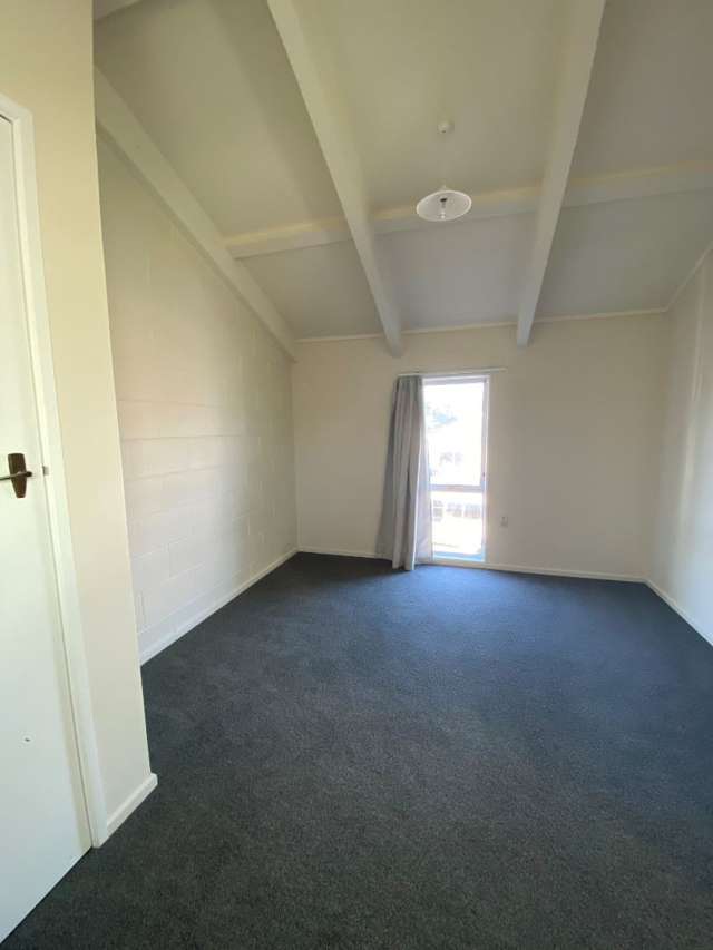 5c Carvell Street Blenheim Central_2