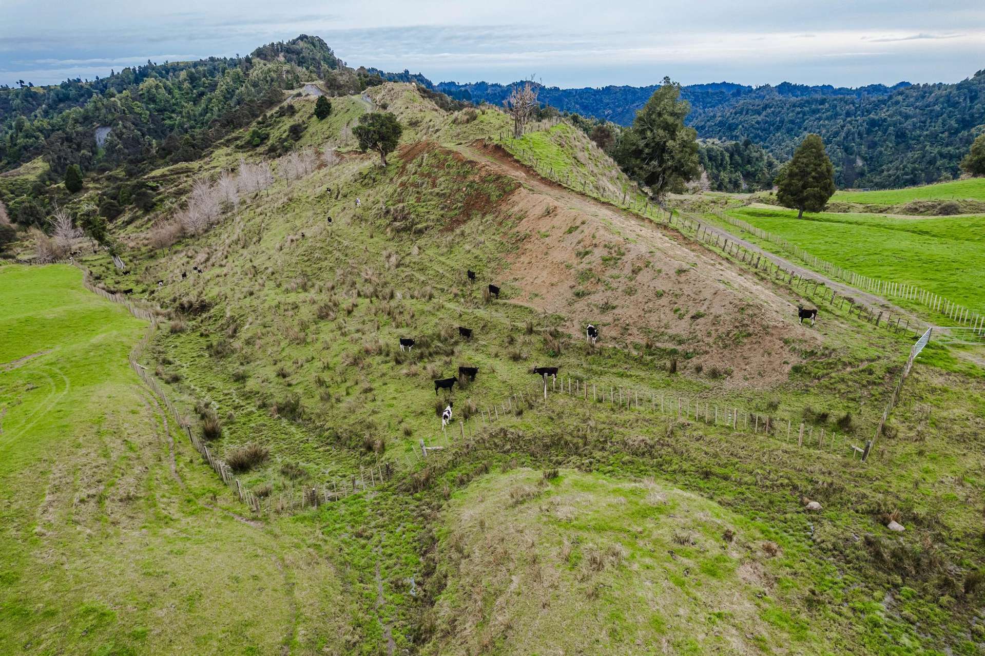 Lot 3 Okoki Road Urenui_0