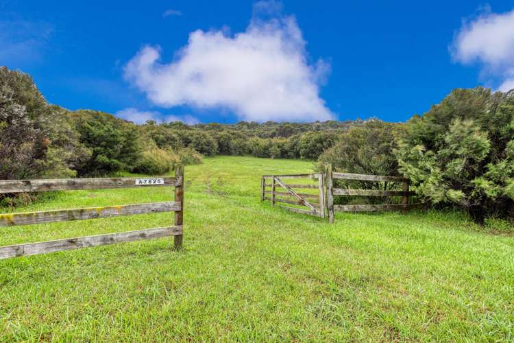 102 Atkin Road Mangawhai_17