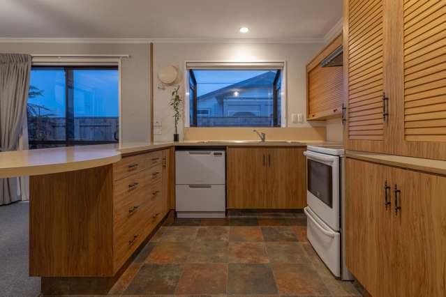 50 Winchester Street Levin_3