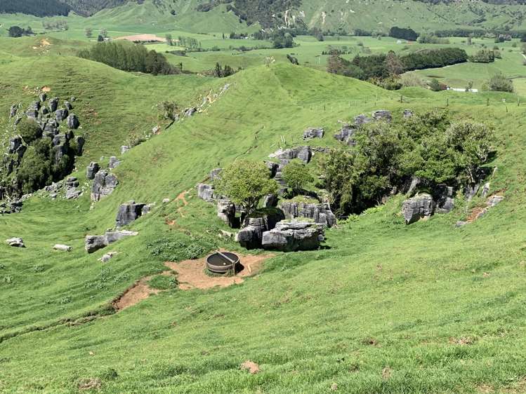 2896 State Highway 3 Awakino_37