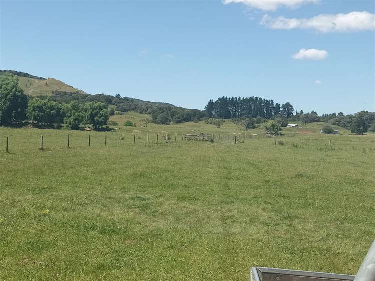 Puhunga Road Waipiro_10