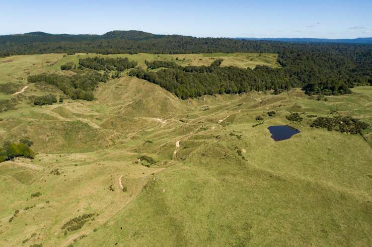 2140 Pyes Pa Road Kaimai_10