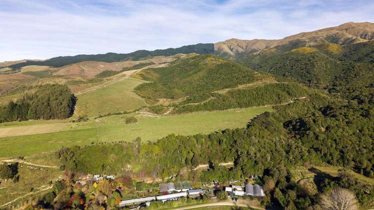 501 Upper Hook Road Hunter_34