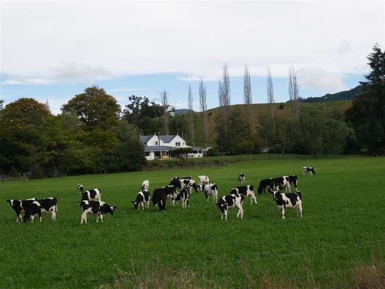 414 Sherry River Road Tapawera_8