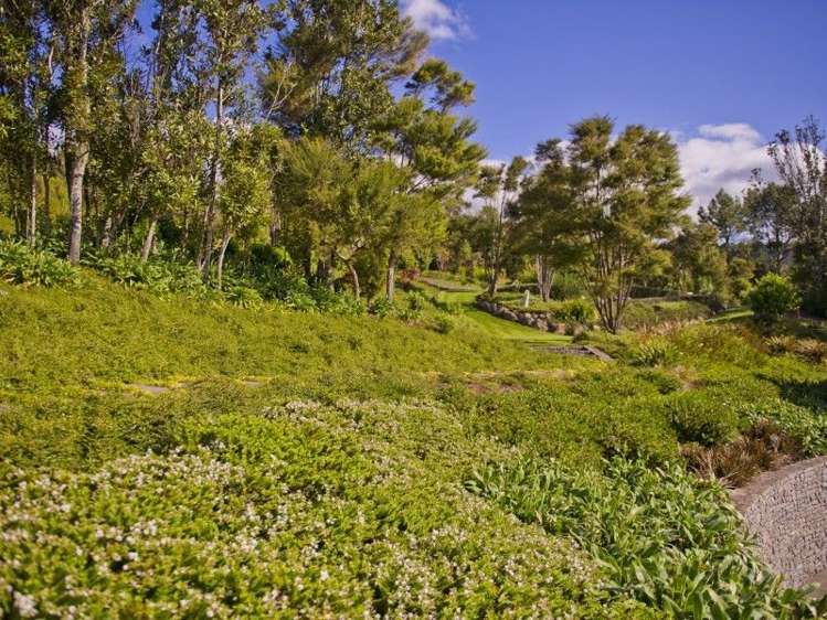 462 Hikuai Settlement Road Hikuai_26