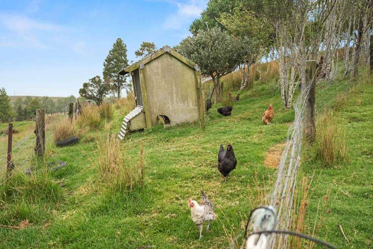 747 Three Mile Bush Road Ruatangata West_32