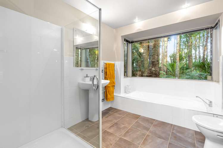 39 Albany Heights Road Albany Heights_16