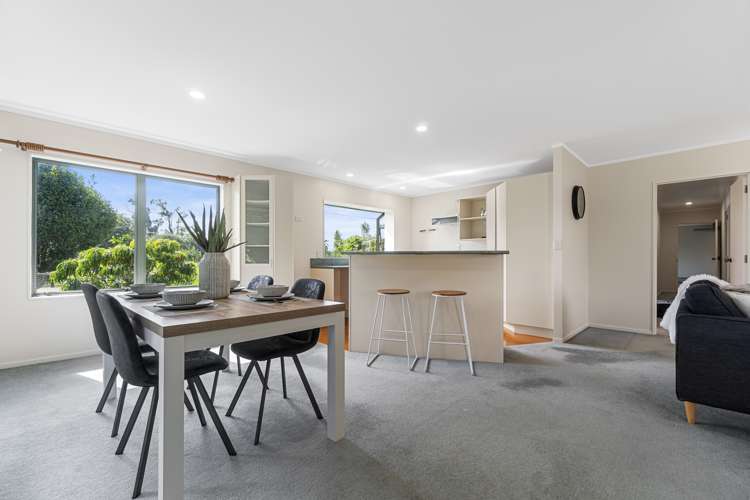 690 Frontier Road Pirongia_1