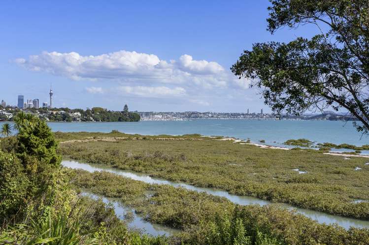 6A Pine Ridge Terrace Hauraki_9