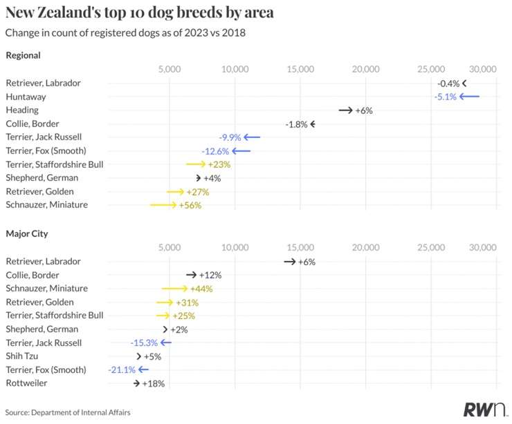 Smaller dog breeds, such as the Miniature Schnauzer, are becoming more popular in New Zealand. Photo / Getty Images