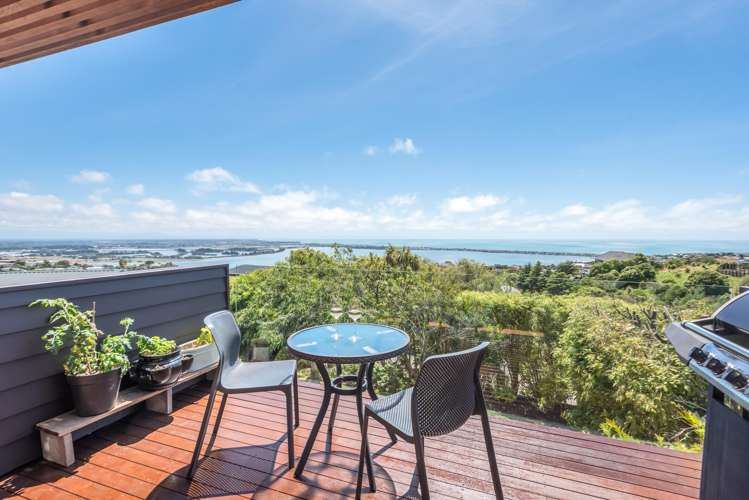 157 Soleares Avenue Mount Pleasant_6