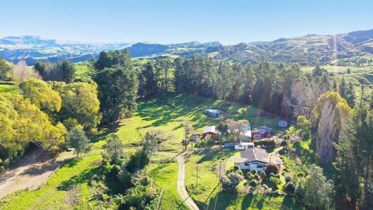 142 Pohokura Road (subdivision of) Tutira_31