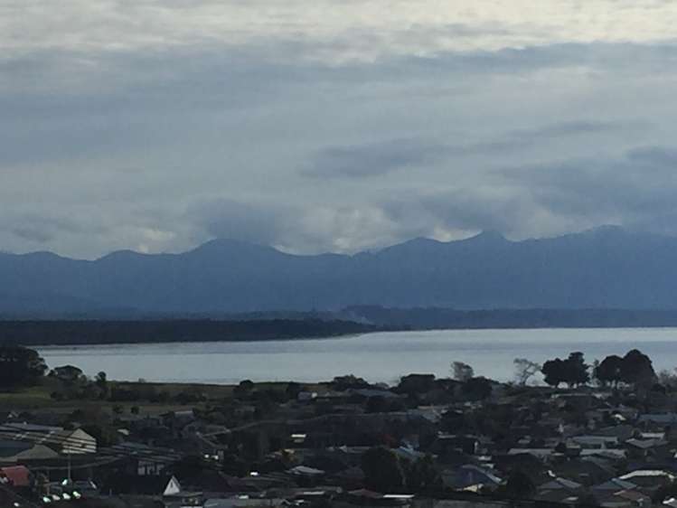 54 Chamberlain Street Tahunanui_16