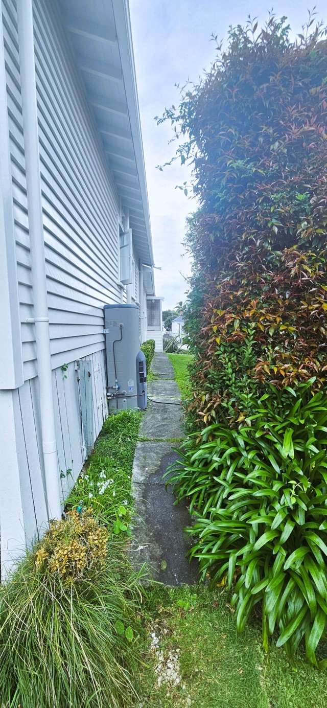 19A Ewen Alison Avenue Devonport_1